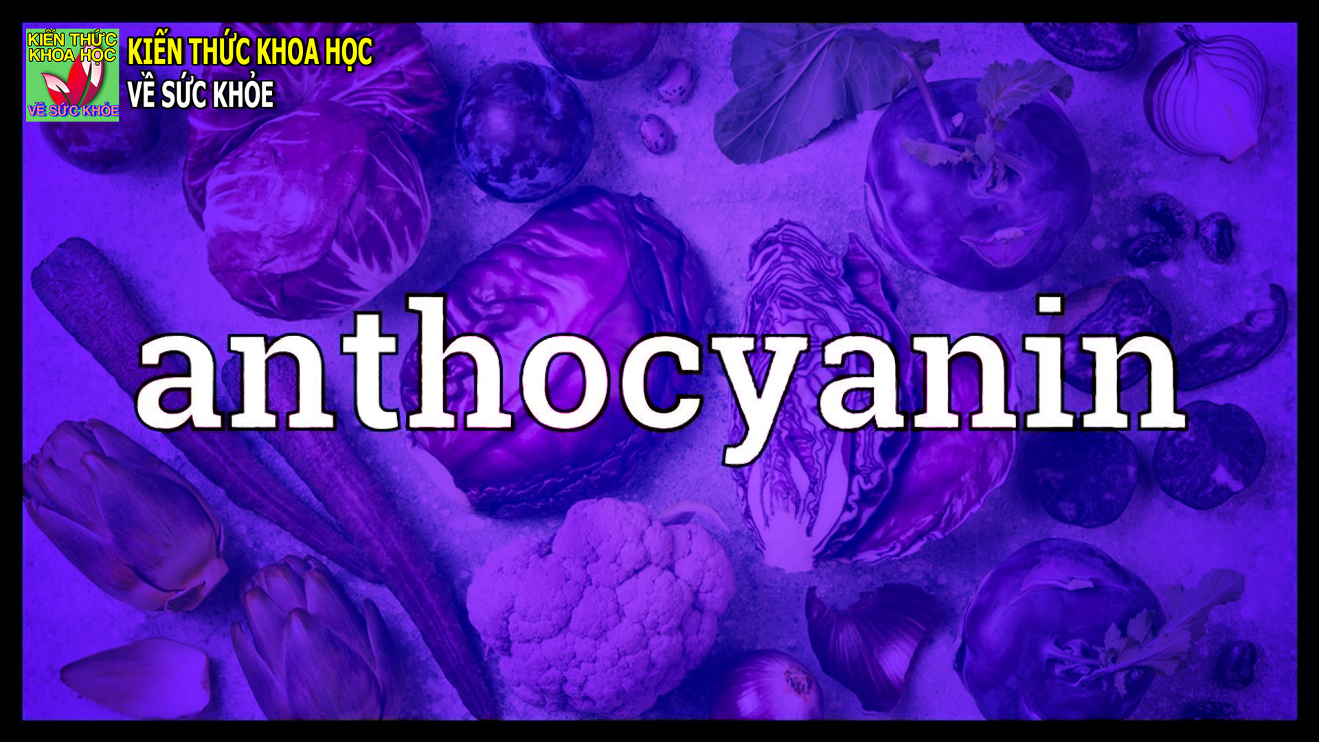 thuc-pham-bao-ve-tim-mach-giup-ngan-ngua-ung-thu-tieu-duong