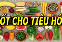 thuc-pham-tot-cho-he-tieu-hoa-cuc-giau-chat-xo