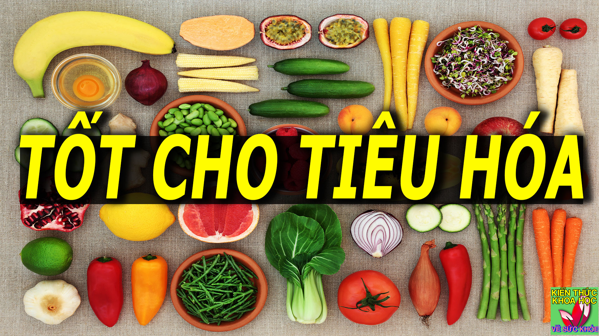thuc-pham-tot-cho-he-tieu-hoa-cuc-giau-chat-xo