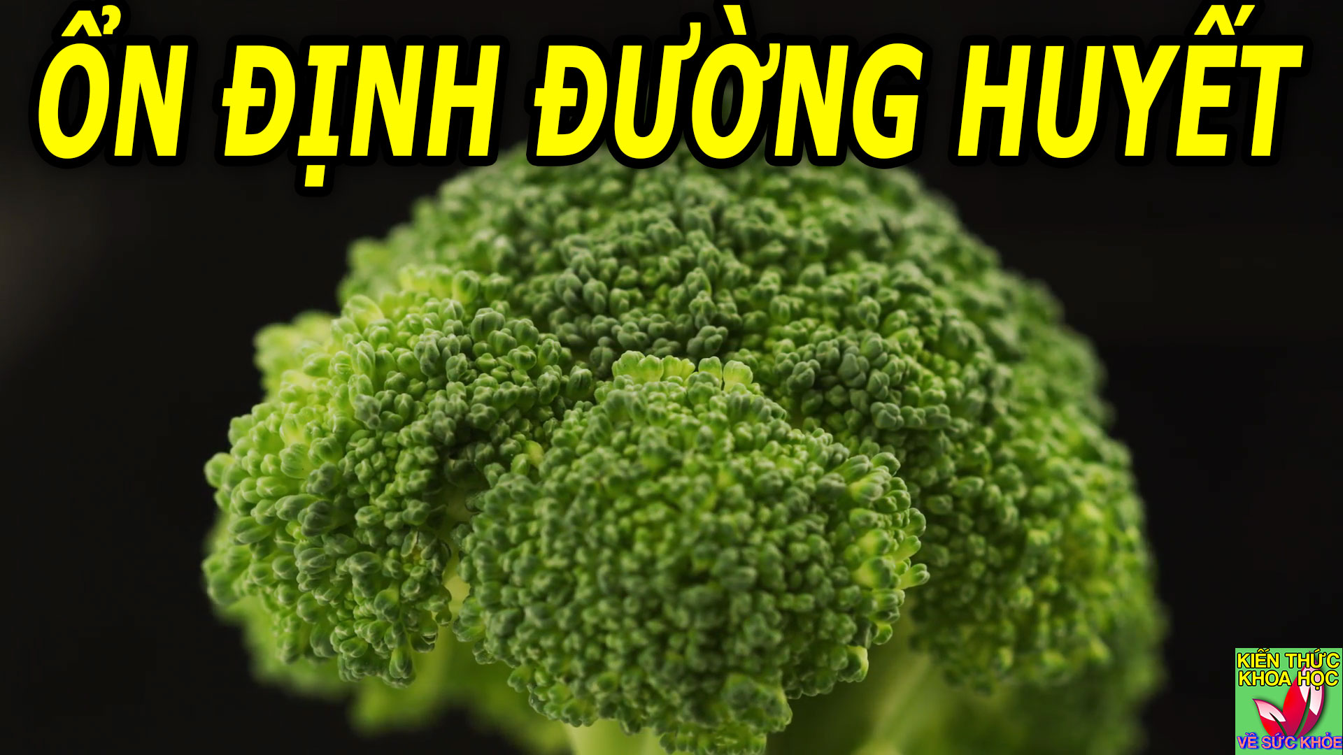 thuc-pham-tot-nhat-giup-on-dinh-duong-huyet-tu-nhien