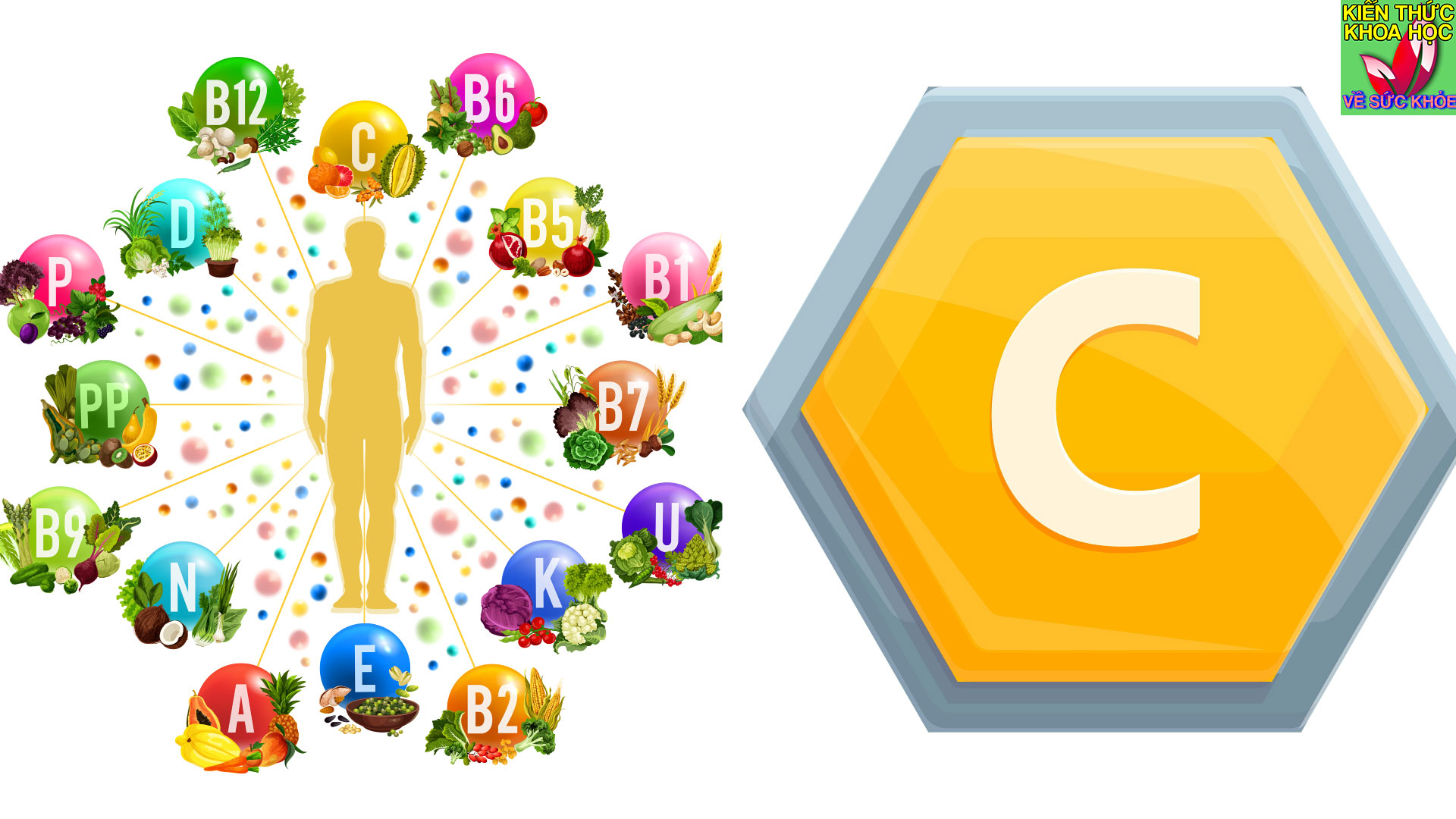 vitamin-c-co-tac-dung-gi-dau-hieu-nhan-biet-thieu-vitamin-c