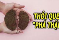 4-thoi-quen-thuong-ngay-de-gay-hong-than