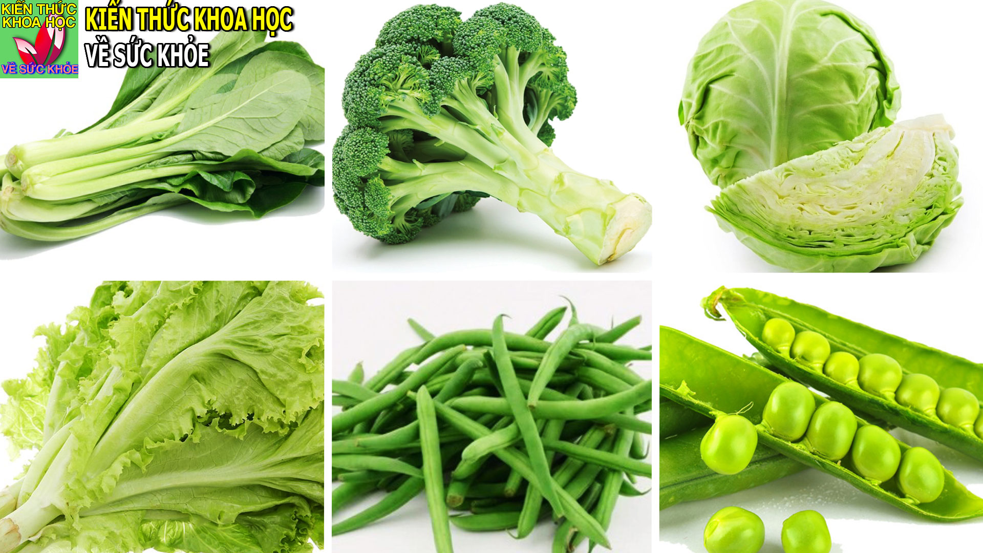 6-loi-ich-bat-ngo-khi-an-rau-mau-xanh-dam-moi-ngay