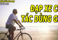 dap-xe-dap-co-tac-dung-gi