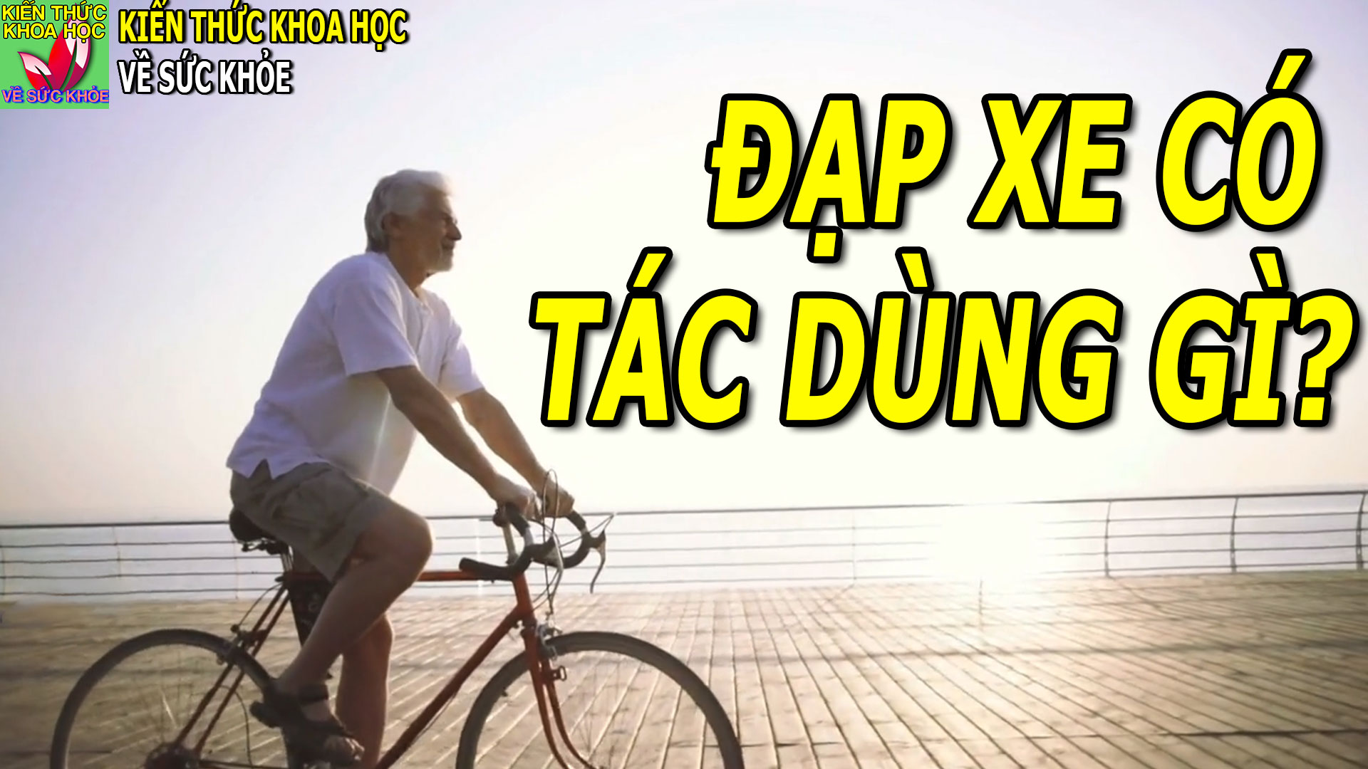 dap-xe-dap-co-tac-dung-gi