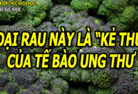 loai-rau-te-bao-ung-thu-rat-so-giup-bao-ve-nao-tot-cho-tim-mach-xuong-khop