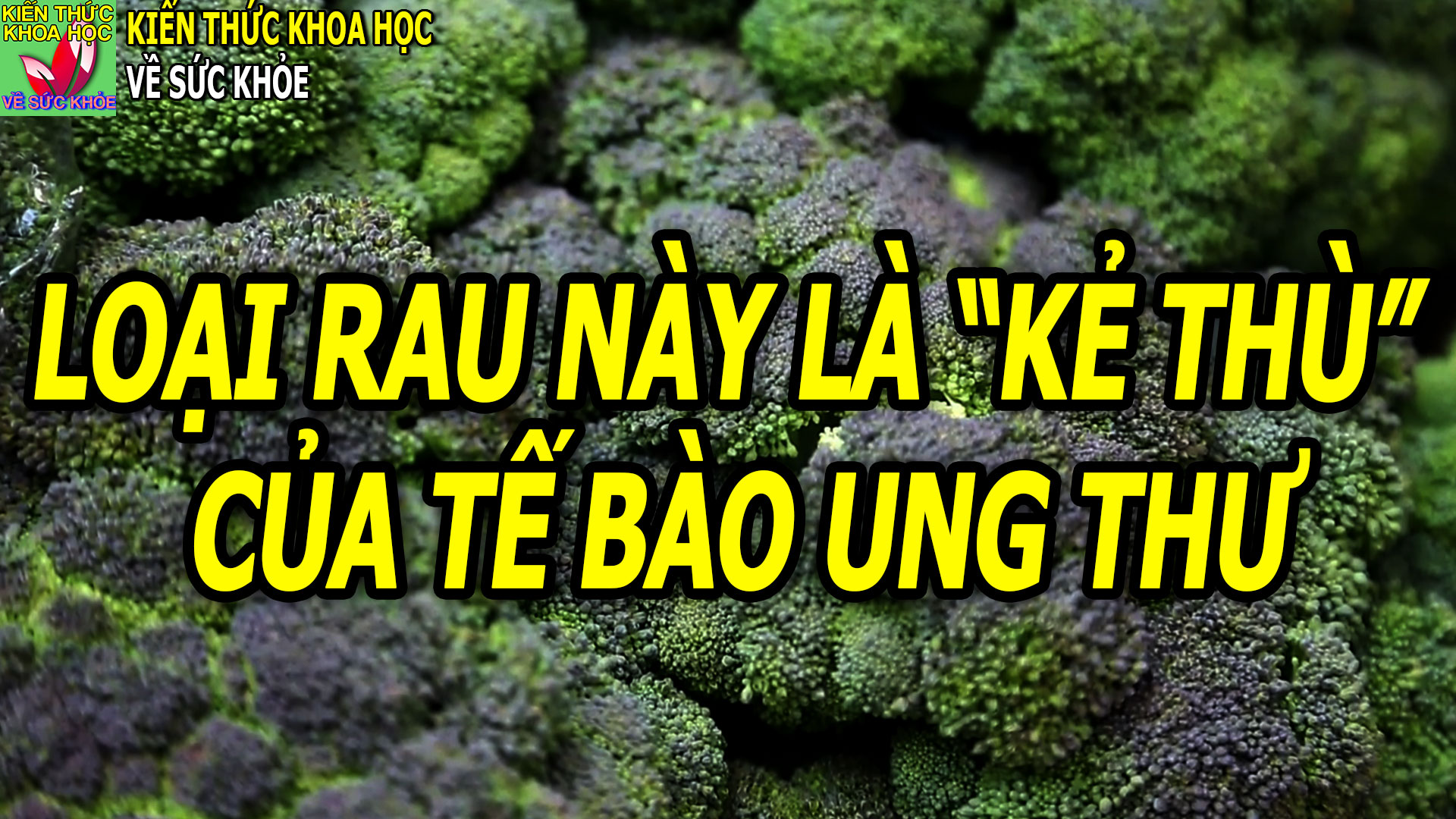 loai-rau-te-bao-ung-thu-rat-so-giup-bao-ve-nao-tot-cho-tim-mach-xuong-khop