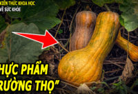 thuc-pham-truong-tho-giup-mat-sang-tim-khoe-phong-ngua-ung-thu