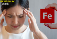 trai-cay-chua-nhieu-chat-sat-tot-cho-nguoi-thieu-mau