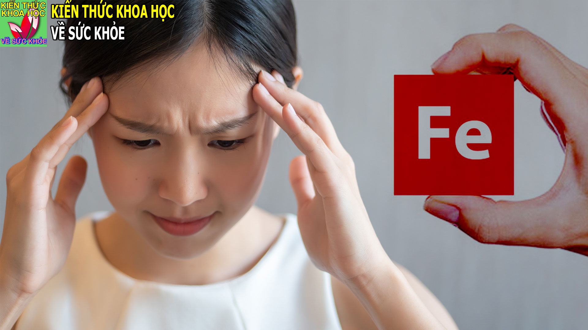 trai-cay-chua-nhieu-chat-sat-tot-cho-nguoi-thieu-mau