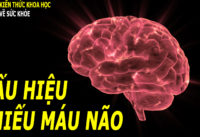 4-dau-hieu-cua-thieu-mau-nao