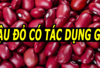 an-dau-do-co-tac-dung-gi