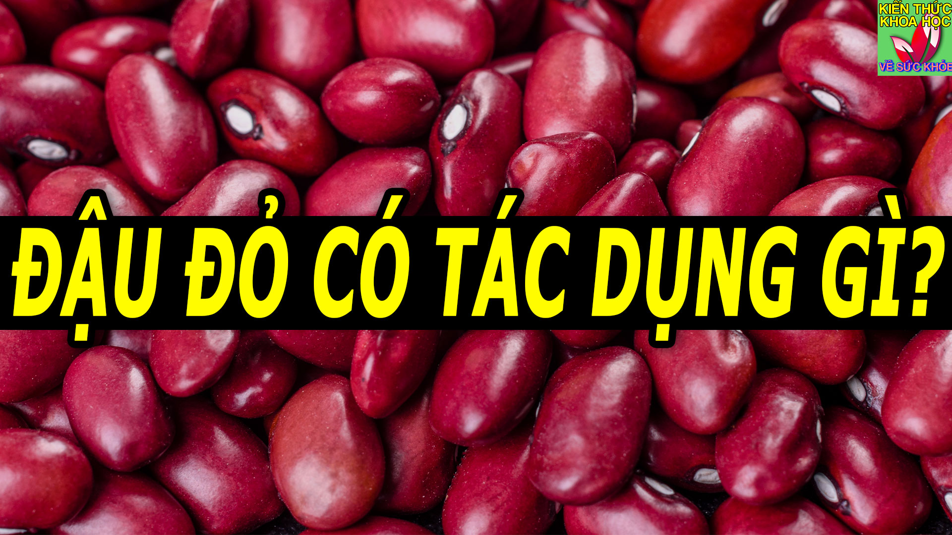 an-dau-do-co-tac-dung-gi