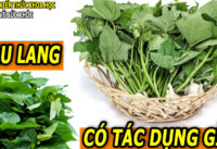 rau-lang-co-tac-dung-gi