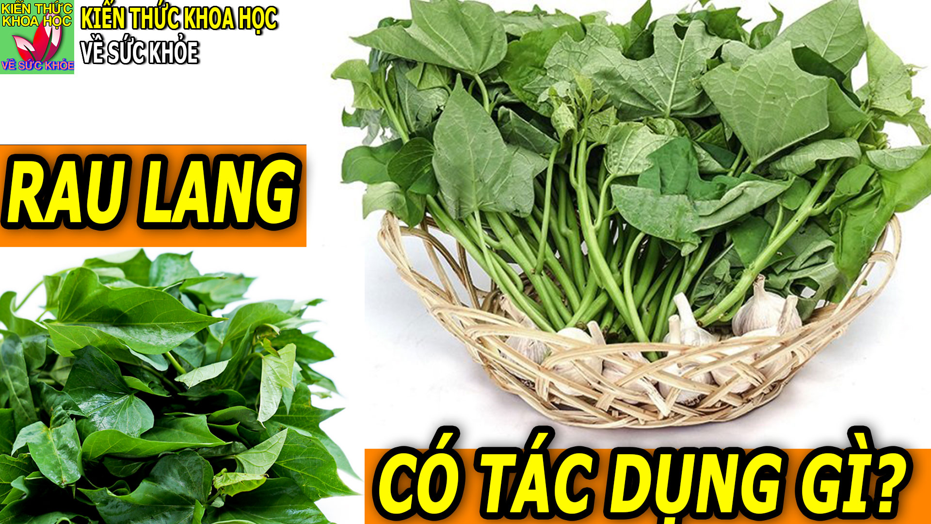 rau-lang-co-tac-dung-gi