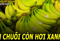 tac-dung-bat-ngo-cua-viec-an-chuoi-chua-chin-han-van-con-hoi-xanh