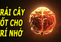 trai-cay-tot-cho-nao-bo-tang-cuong-tri-nho