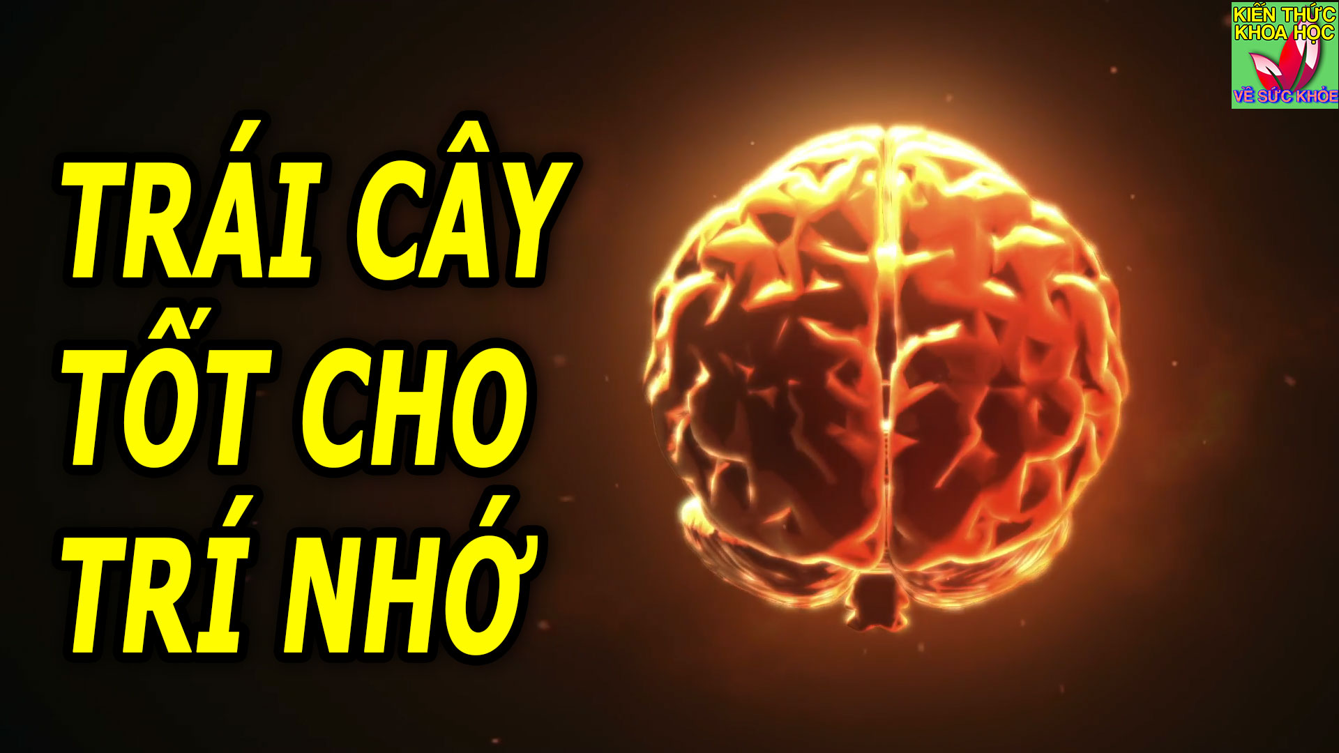 trai-cay-tot-cho-nao-bo-tang-cuong-tri-nho