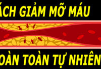 cach-giam-mo-mau-tu-nhien-duy-tri-deu-dan-khong-lo-mo-mau-cao