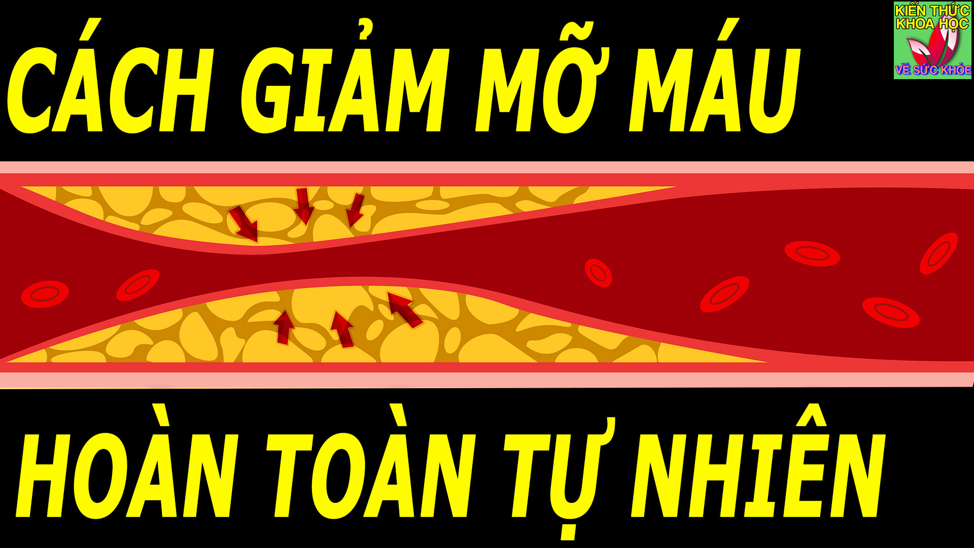 cach-giam-mo-mau-tu-nhien-duy-tri-deu-dan-khong-lo-mo-mau-cao