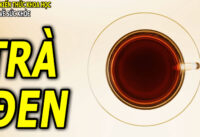 cong-dung-cua-tra-den-doi-voi-suc-khoe