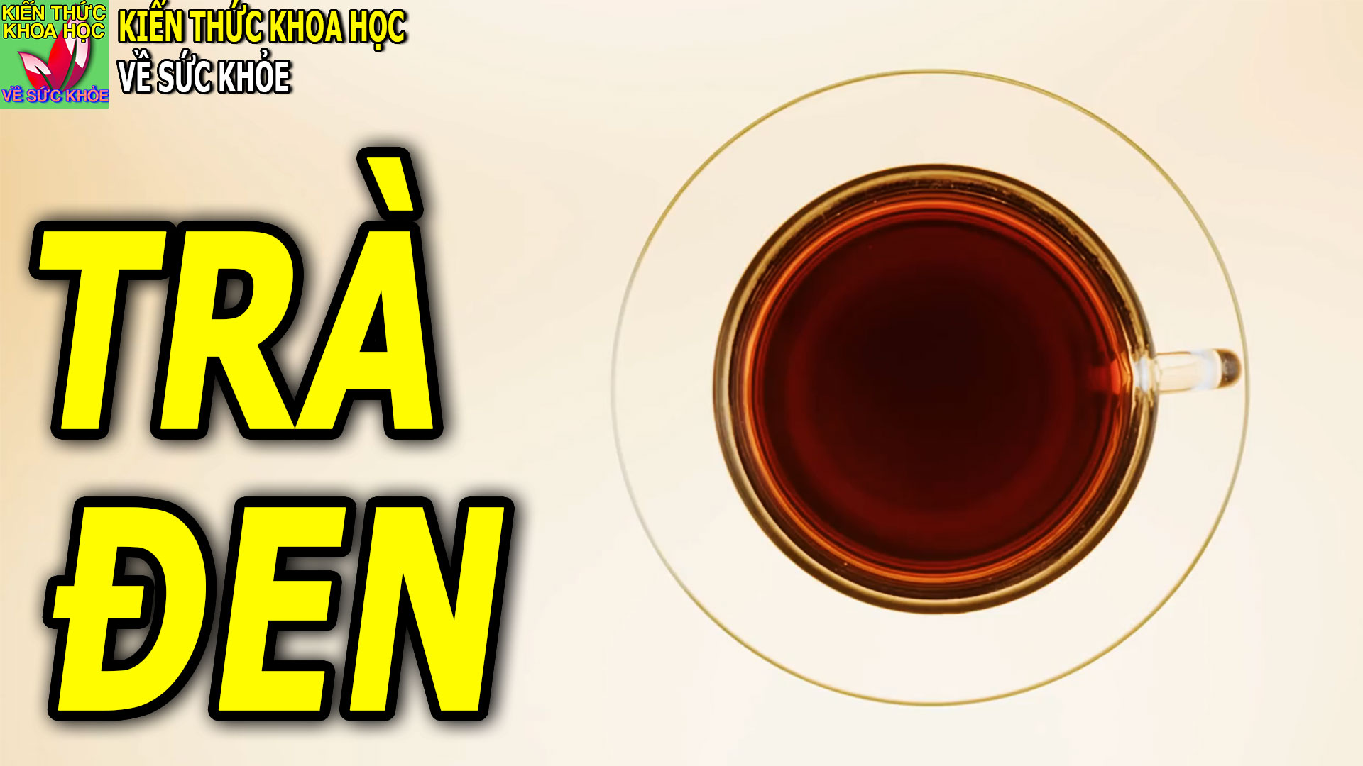 cong-dung-cua-tra-den-doi-voi-suc-khoe