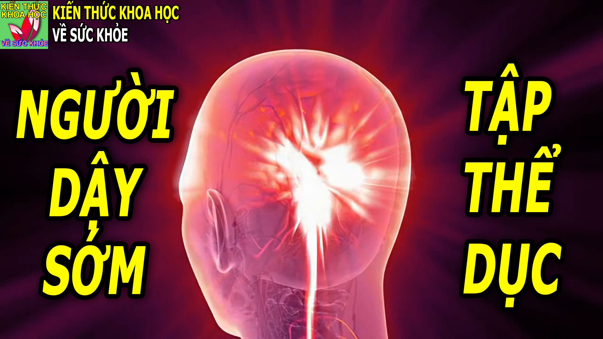 day-som-tap-the-duc-co-tot-khong