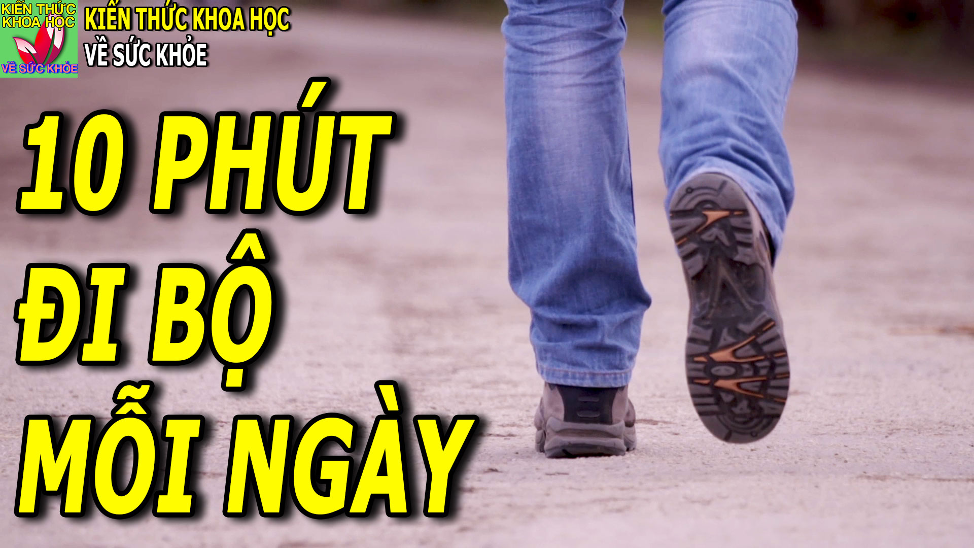 di-bo-chi-10-phut-moi-ngay-co-tac-dung-gi