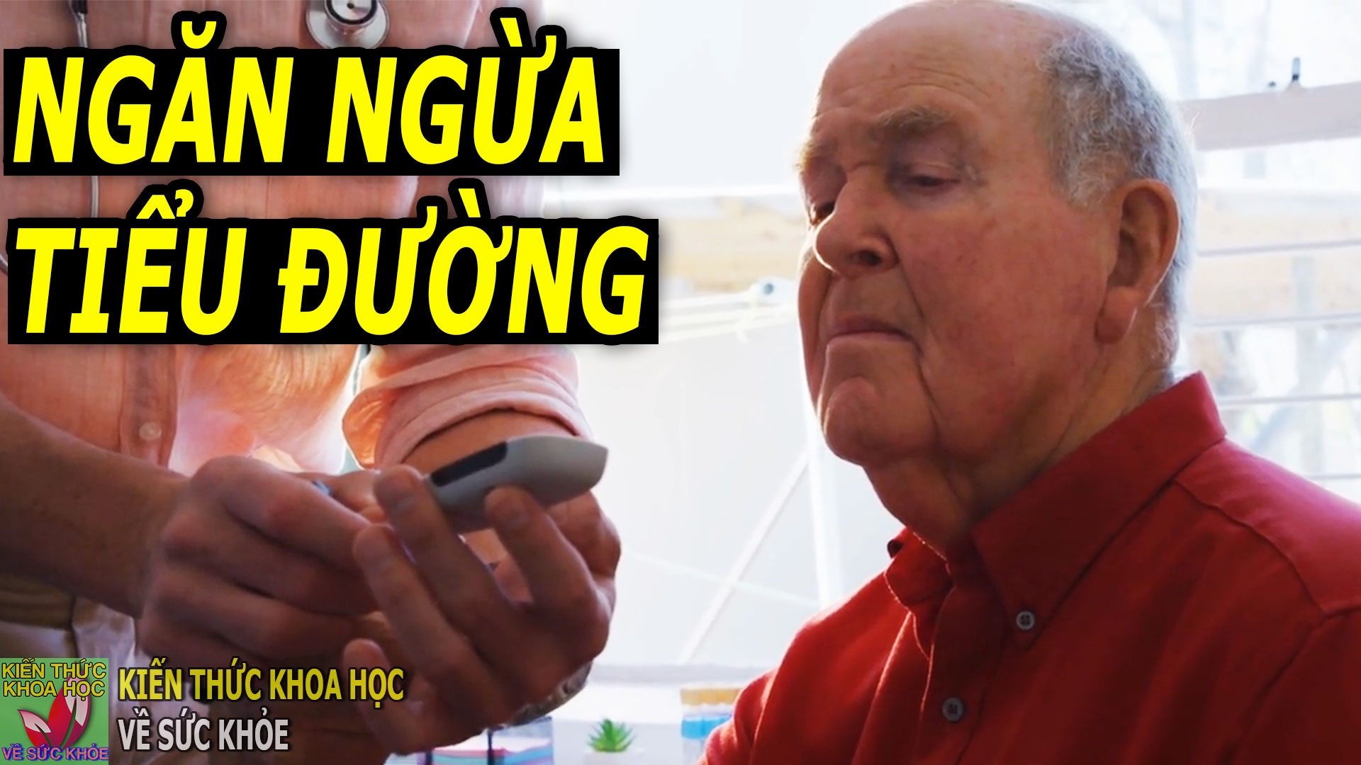 thoi-quen-sau-bua-an-giup-ngan-ngua-benh-tieu-duong