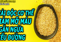 thuc-pham-giup-kiem-soat-mo-mau-bao-ve-tim-mach-ngan-ngua-benh-tieu-duong