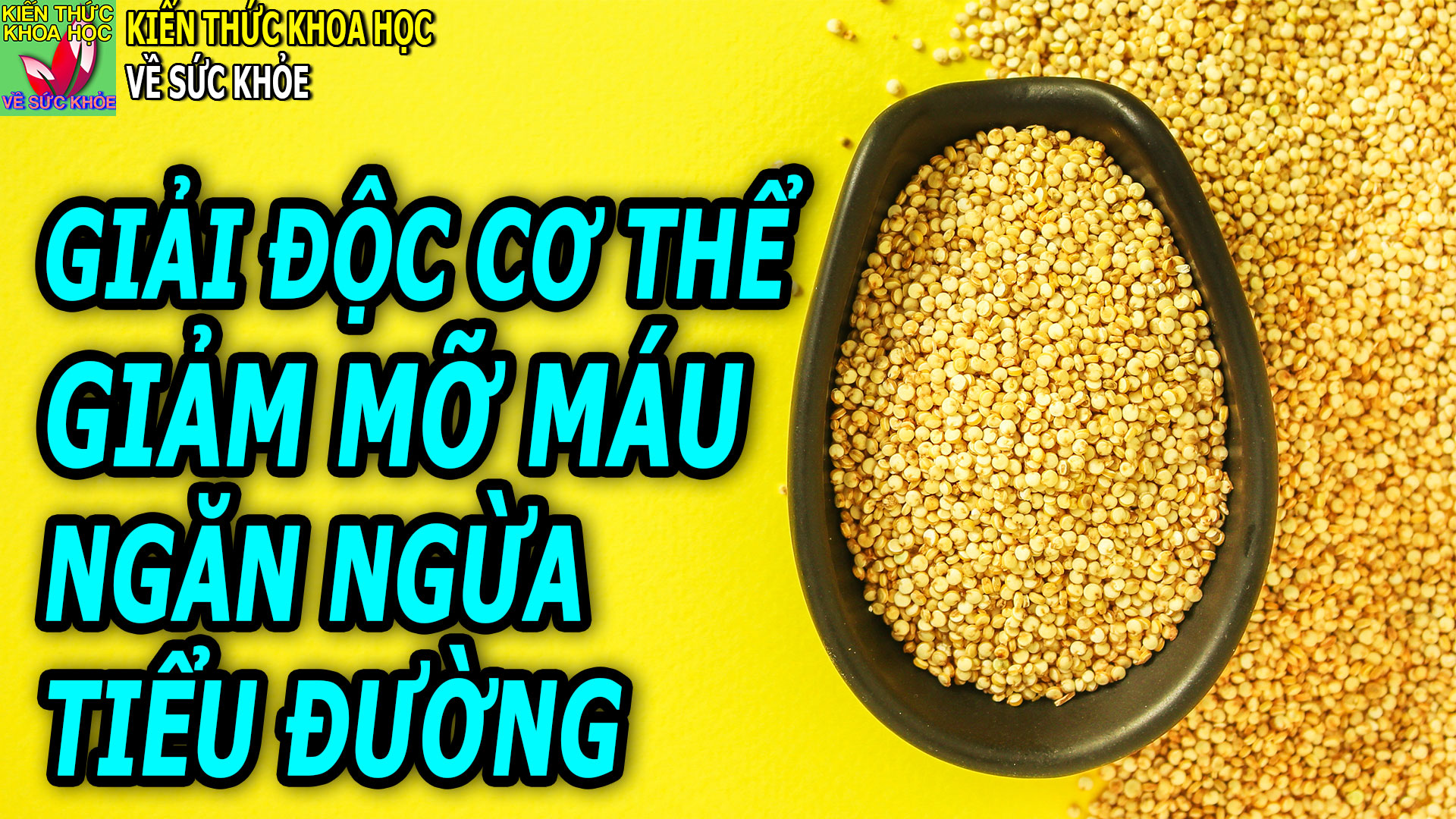 thuc-pham-giup-kiem-soat-mo-mau-bao-ve-tim-mach-ngan-ngua-benh-tieu-duong