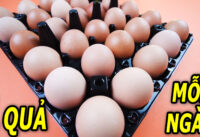 an-mot-qua-trung-moi-ngay-dieu-gi-se-xay-ra-voi-co-the-ban