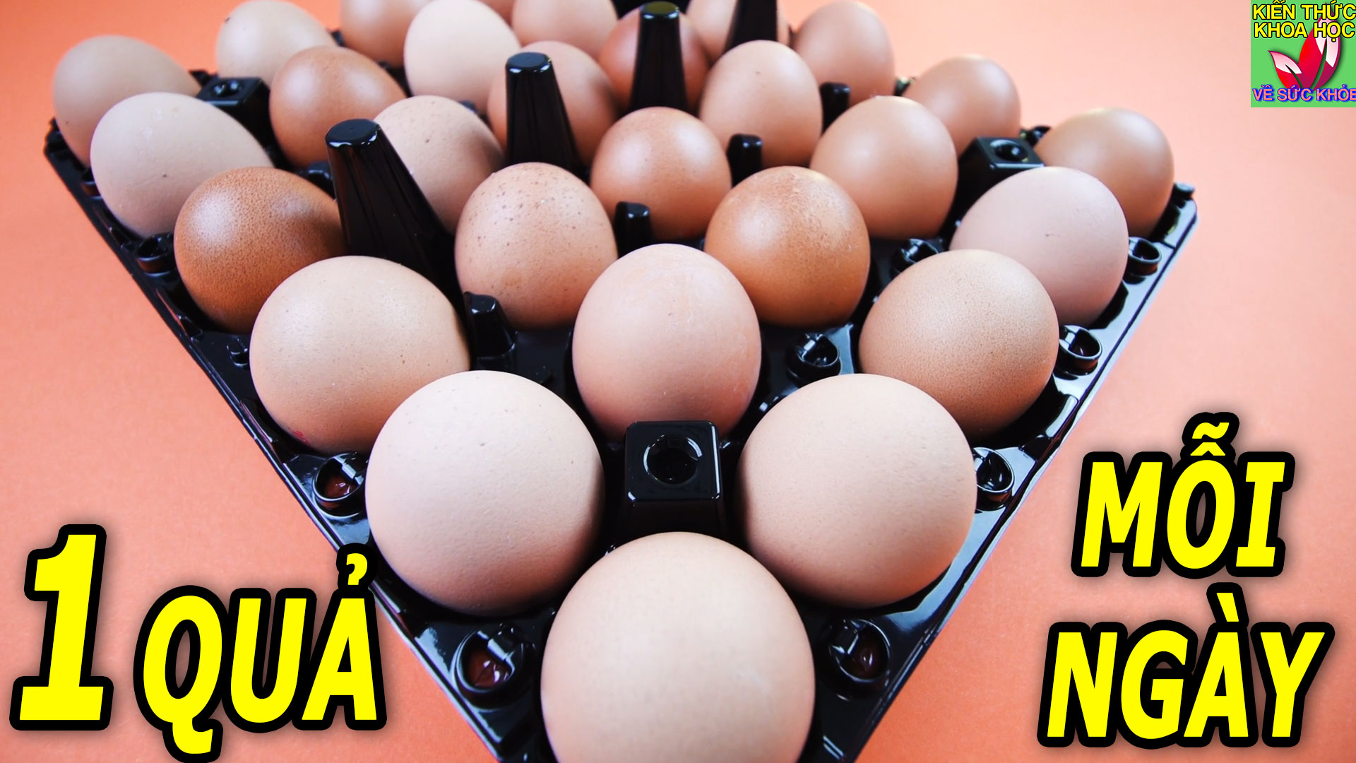 an-mot-qua-trung-moi-ngay-dieu-gi-se-xay-ra-voi-co-the-ban