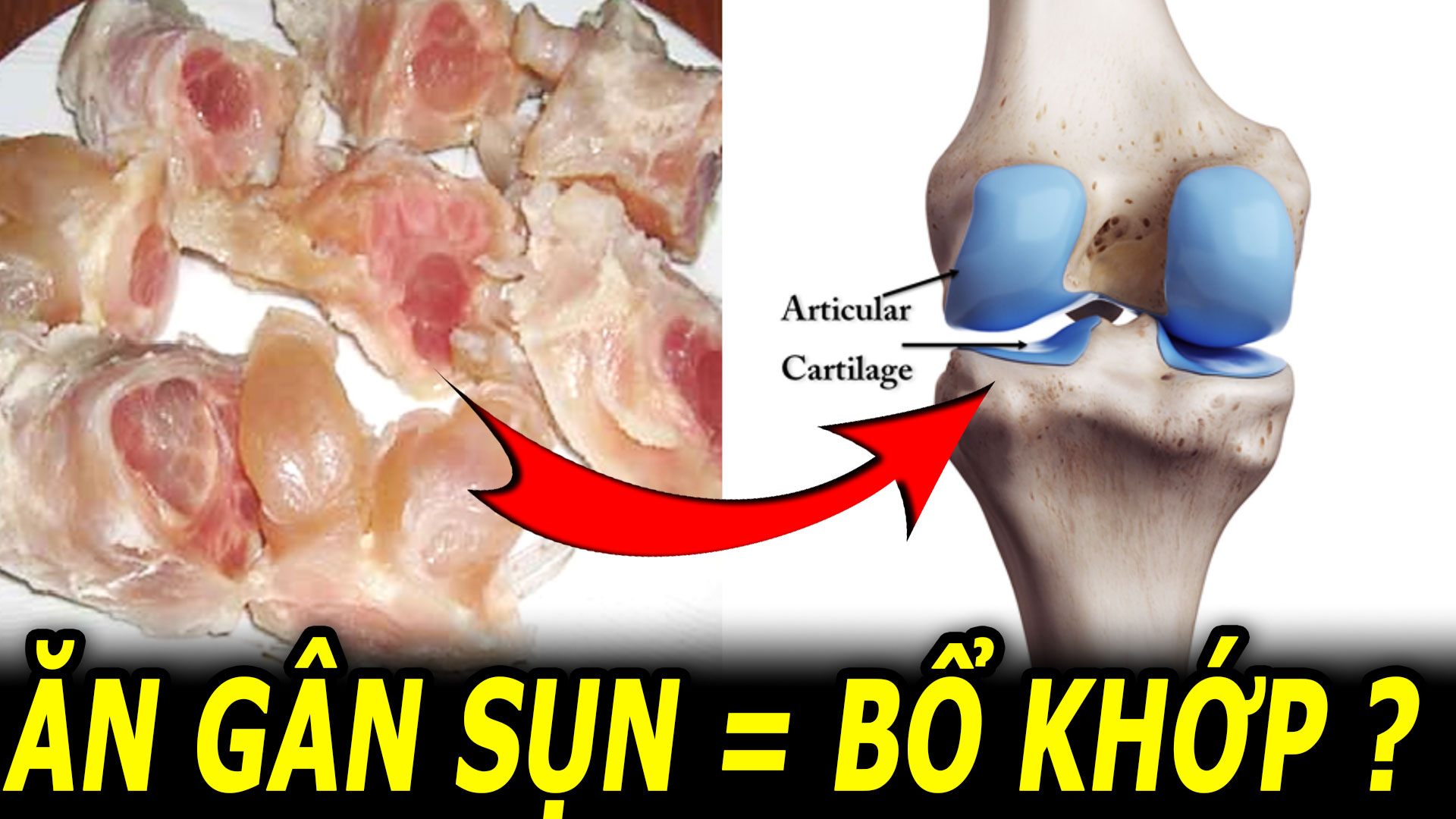 an-nhieu-gan-heo-gan-bo-sun-ga-lieu-co-giup-bo-khop