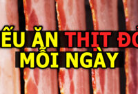 an-thit-do-moi-ngay-dieu-gi-se-xay-ra-voi-co-the-ban