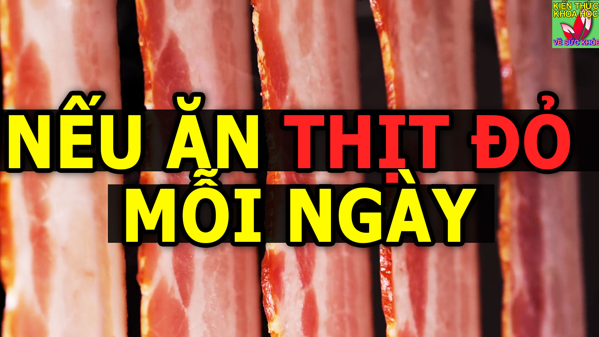 an-thit-do-moi-ngay-dieu-gi-se-xay-ra-voi-co-the-ban