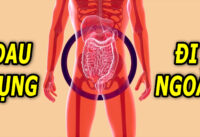 an-vao-la-dau-bung-di-ngoai-la-benh-gi