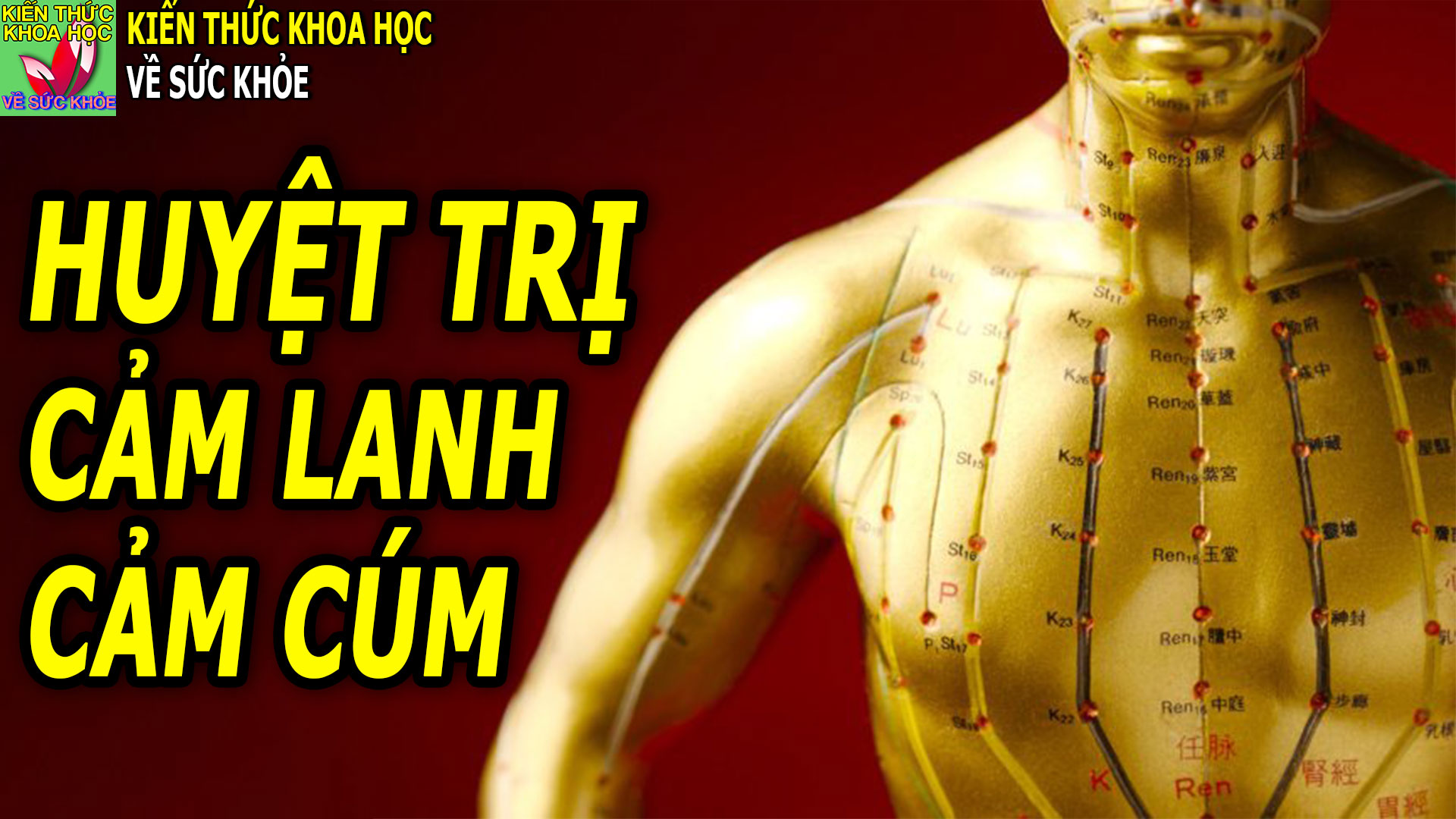 cach-bam-huyet-chua-tri-cam-lanh-cam-cum