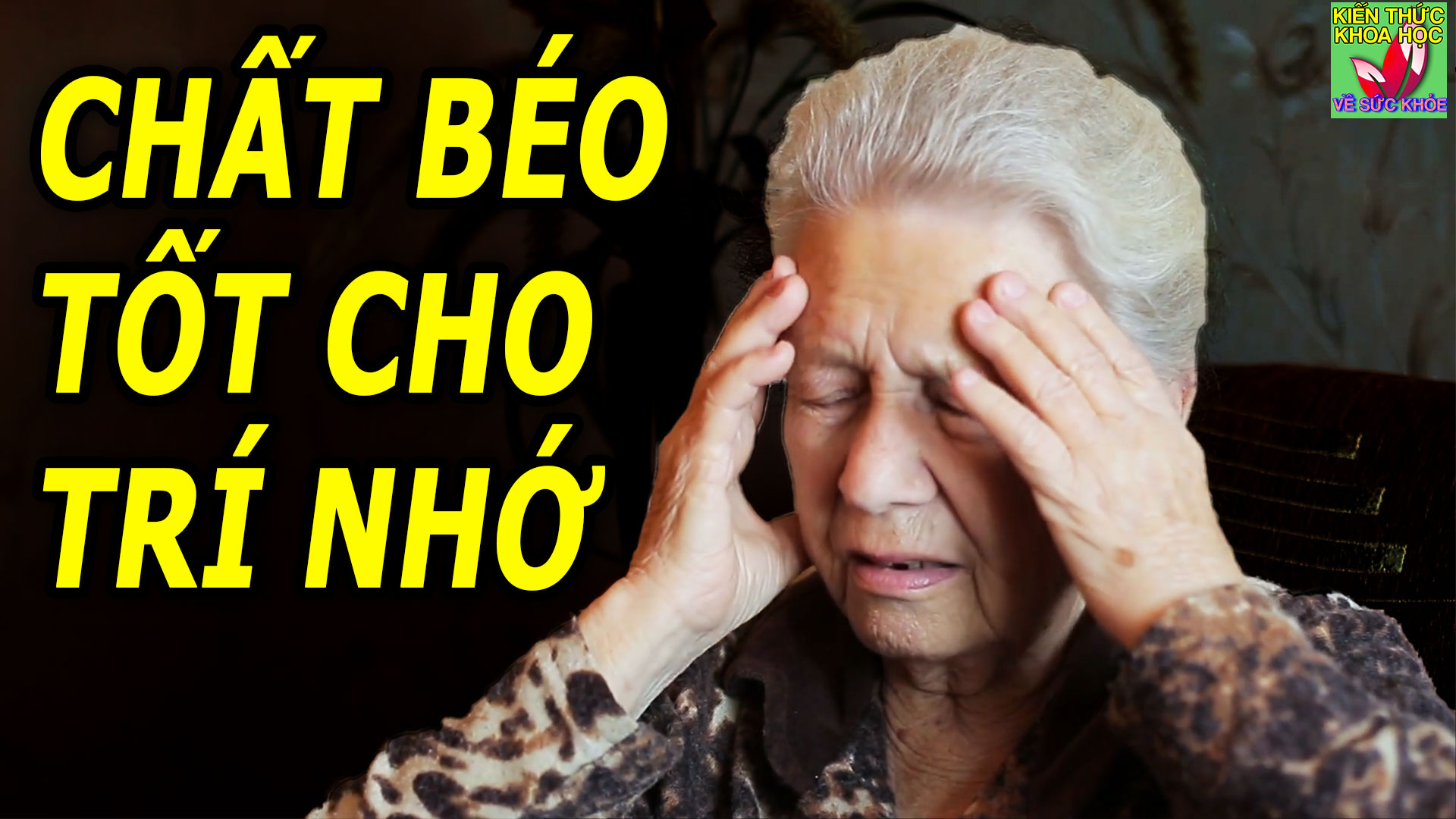 chat-beo-tot-va-chat-beo-xau-cho-tri-nho