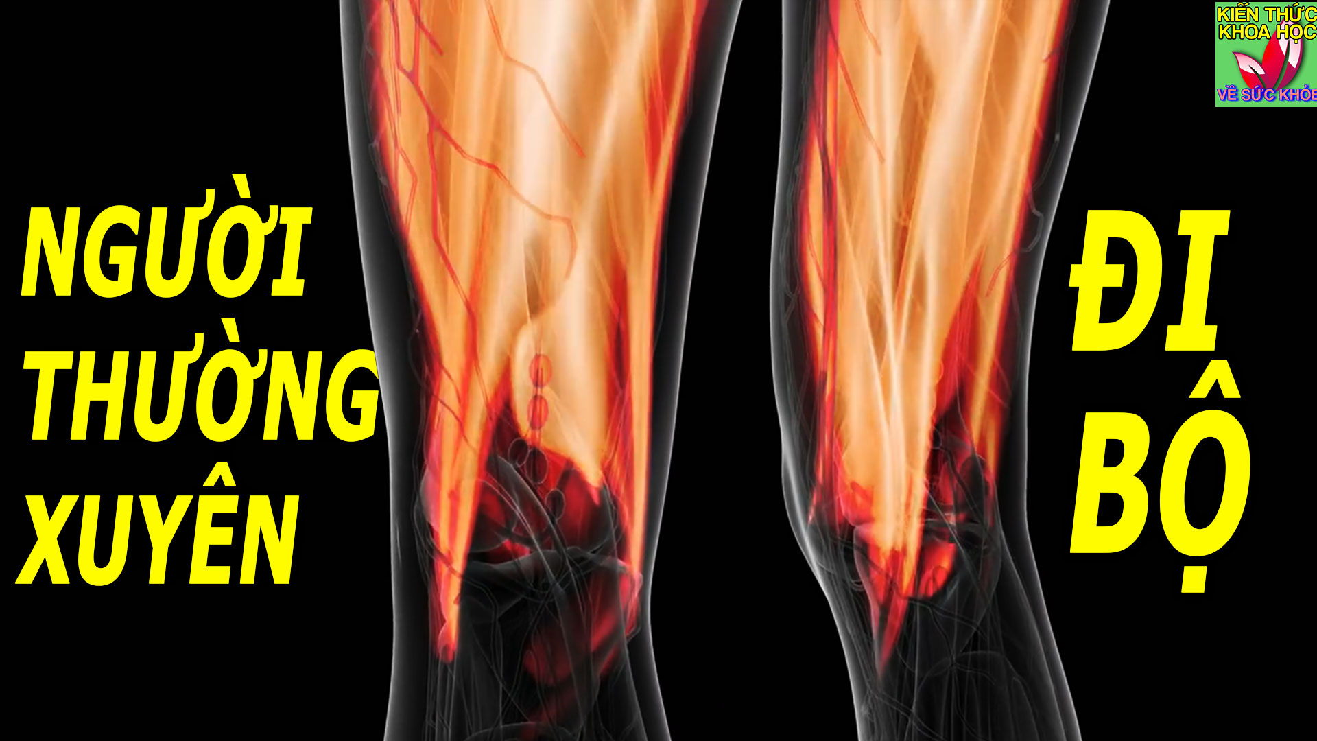 di-bo-thuong-xuyen-co-tac-dung-gi