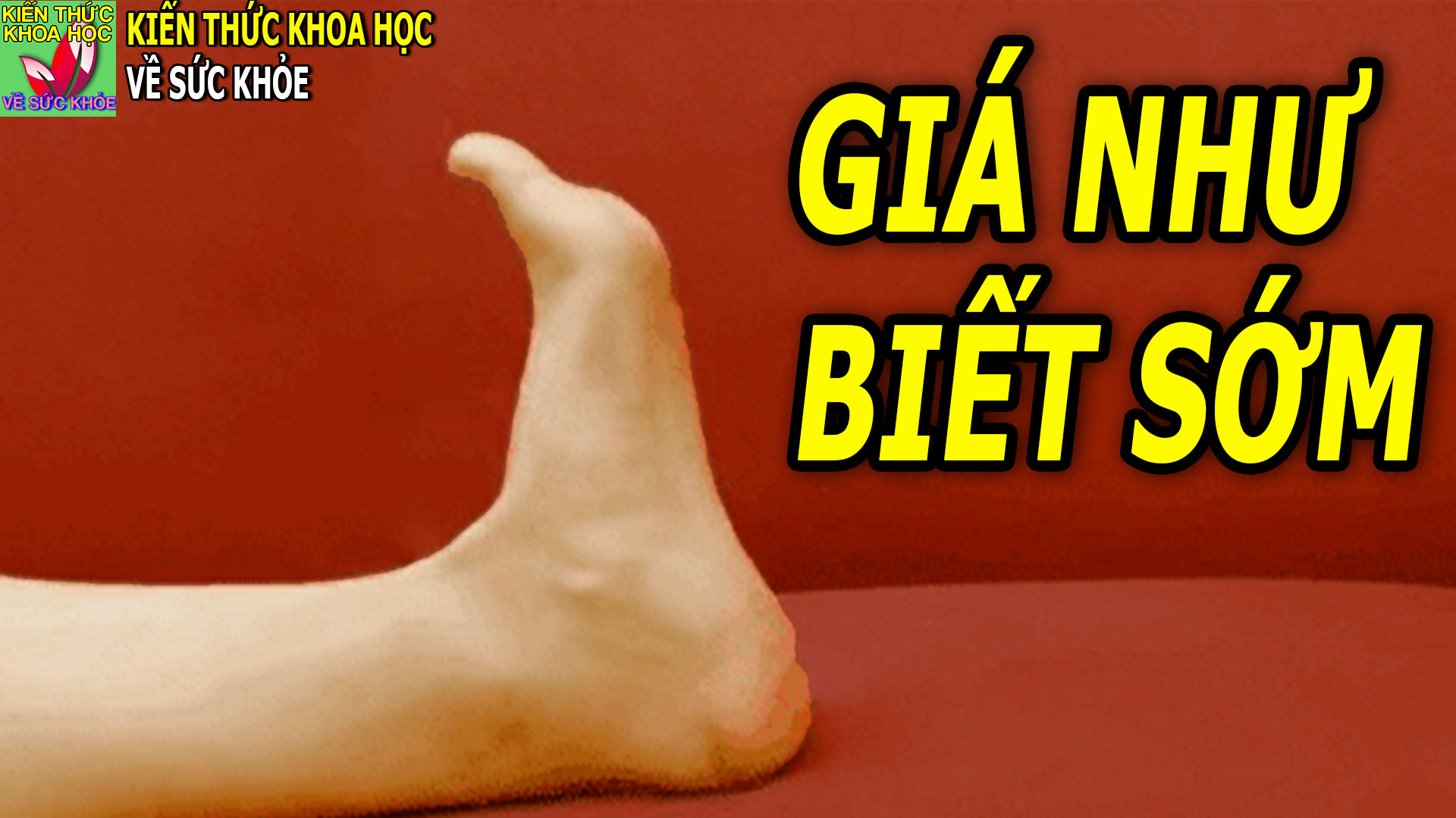 muon-co-suc-khoe-tot-can-giu-3-bo-phan-nay-that-sach