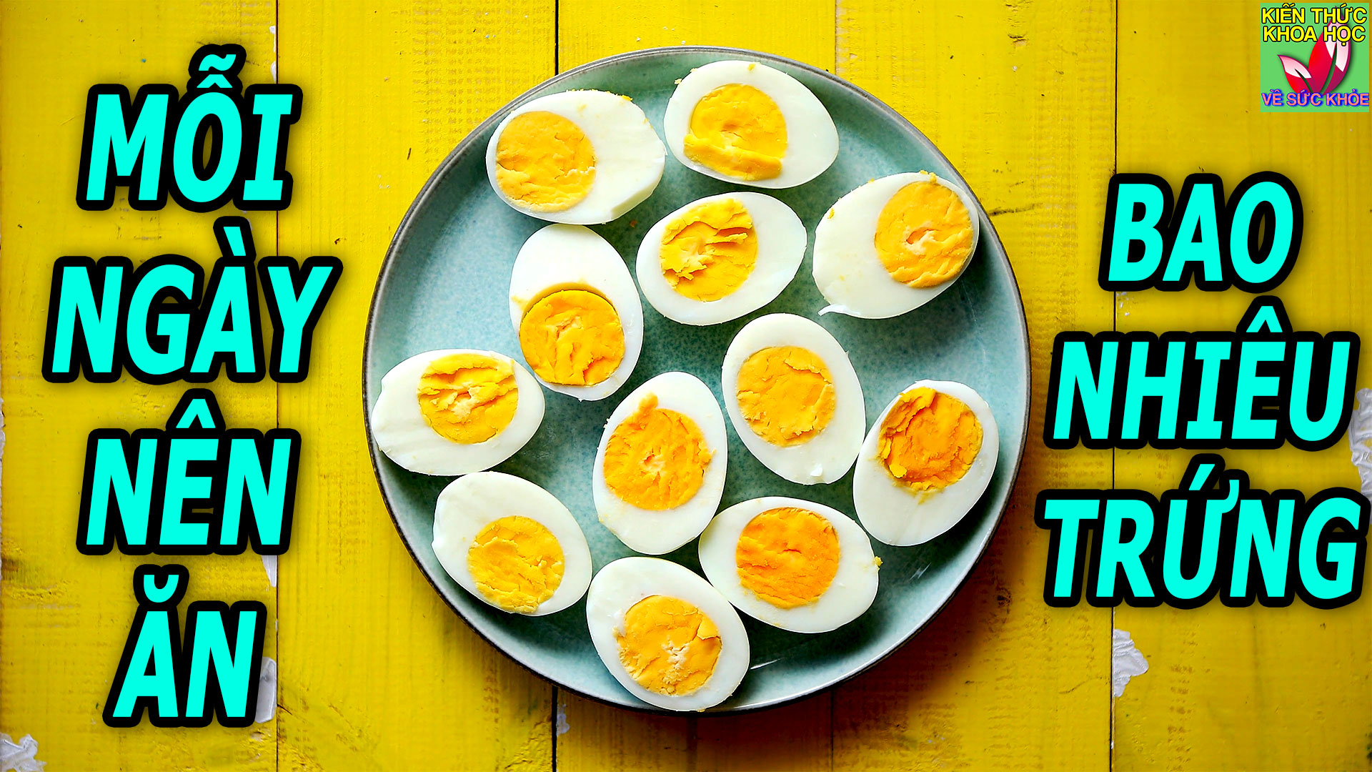 nen-an-bao-nhieu-qua-trung-mot-ngay-la-tot-nhat