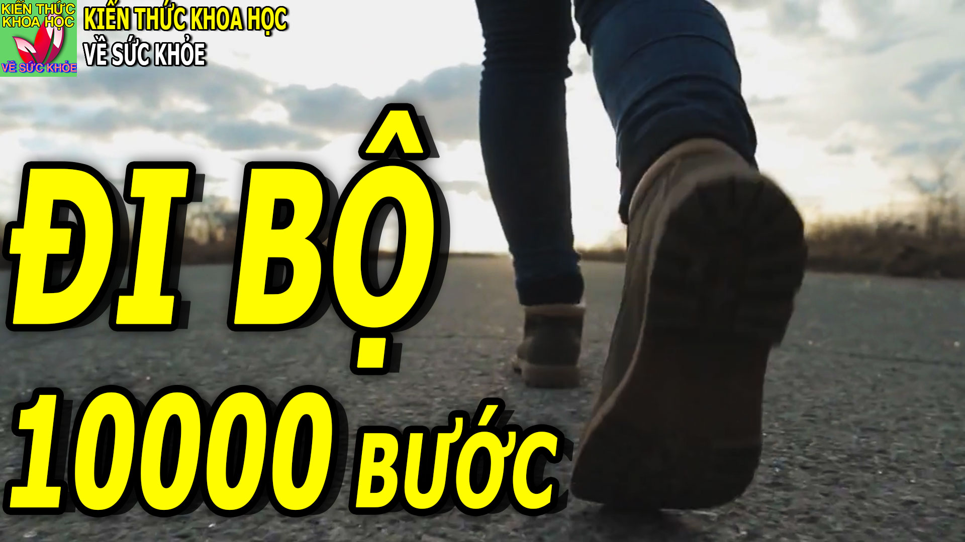 tai-sao-lai-co-con-so-10000-buoc-di-bo