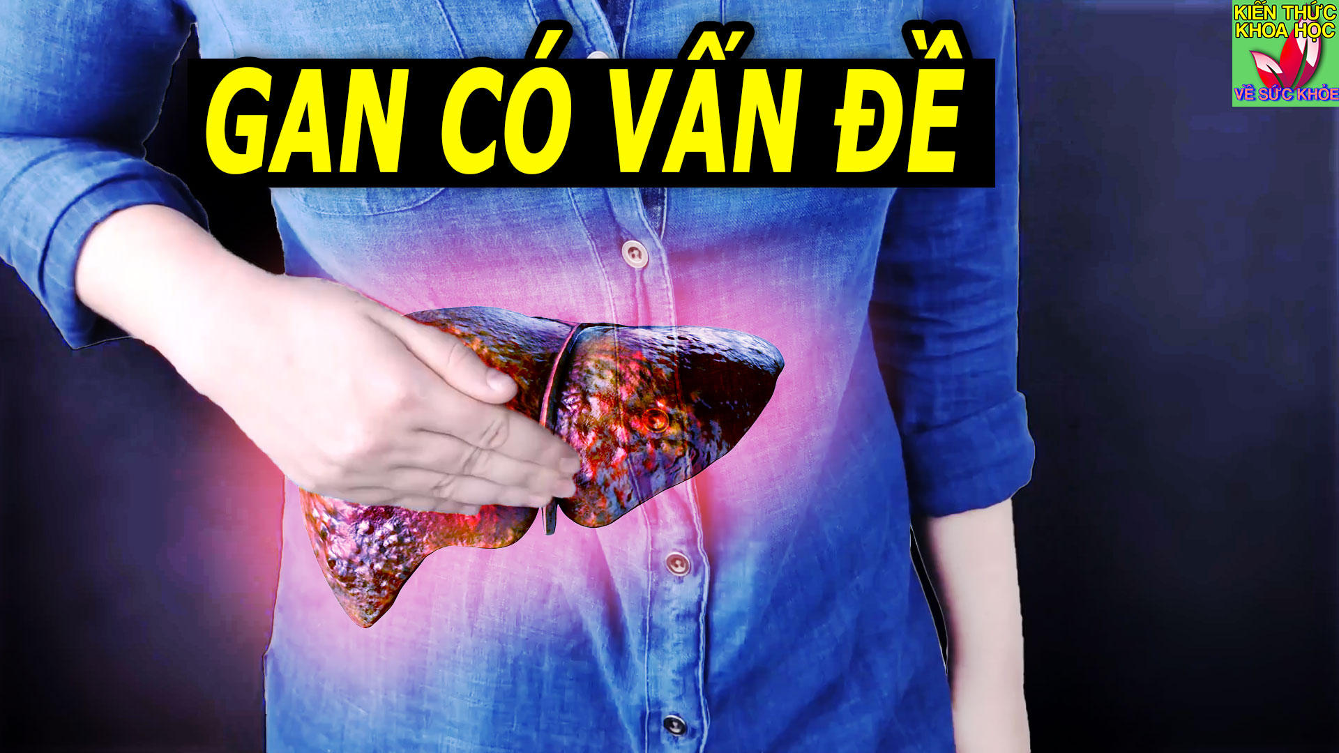 3-bieu-hien-canh-bao-gan-co-van-de-tuyet-doi-khong-nen-chu-quan