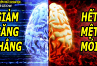 6-chat-bo-sung-giup-giam-cang-thang-than-kinh-het-lo-au-met-moi