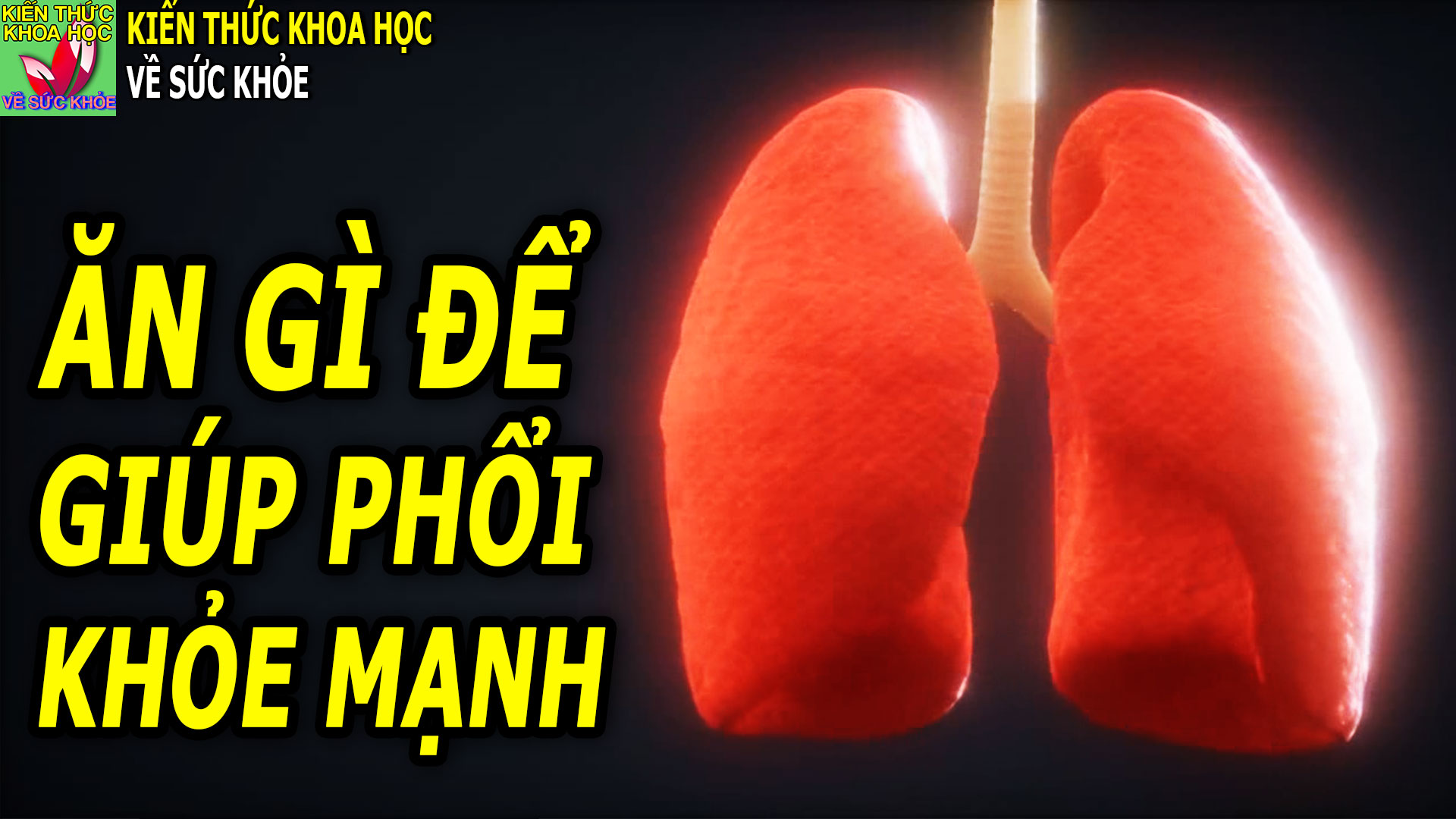 an-gi-de-giup-phoi-khoe-manh