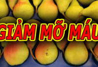 moi-ngay-2-qua-giup-giam-mo-mau-va-cholesterol