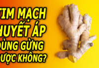 nguoi-benh-tim-mach-huyet-ap-an-gung-hoac-uong-nuoc-gung-duoc-khong