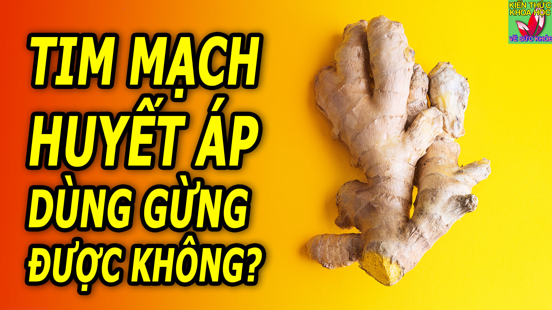 nguoi-benh-tim-mach-huyet-ap-an-gung-hoac-uong-nuoc-gung-duoc-khong