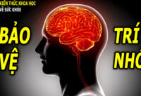 6-quy-tac-bao-ve-tri-nho-tu-chuyen-gia-nao-bo-my